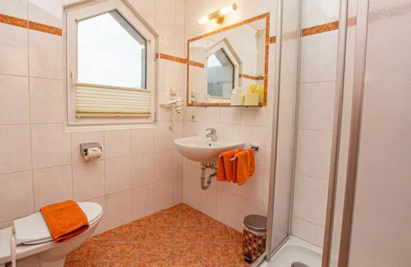 Typ A: Ferienwohnungen in Flachau, Appartements Harmony