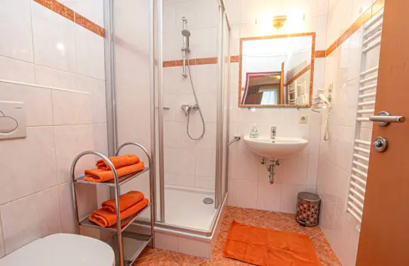 Typ C: Ferienwohnungen in Flachau, Appartements Harmony