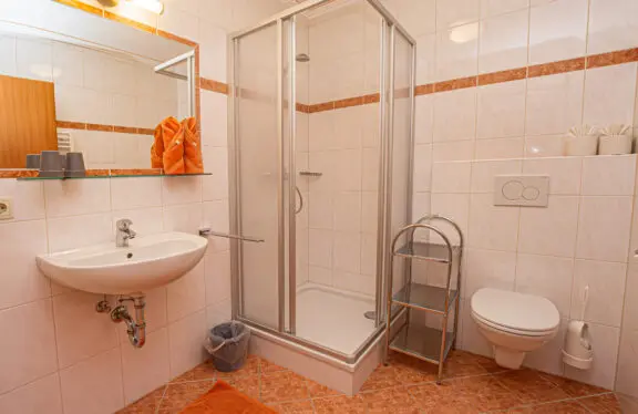 Typ D: Ferienwohnungen in Flachau, Appartements Harmony