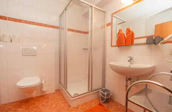 Typ D: Ferienwohnungen in Flachau, Appartements Harmony